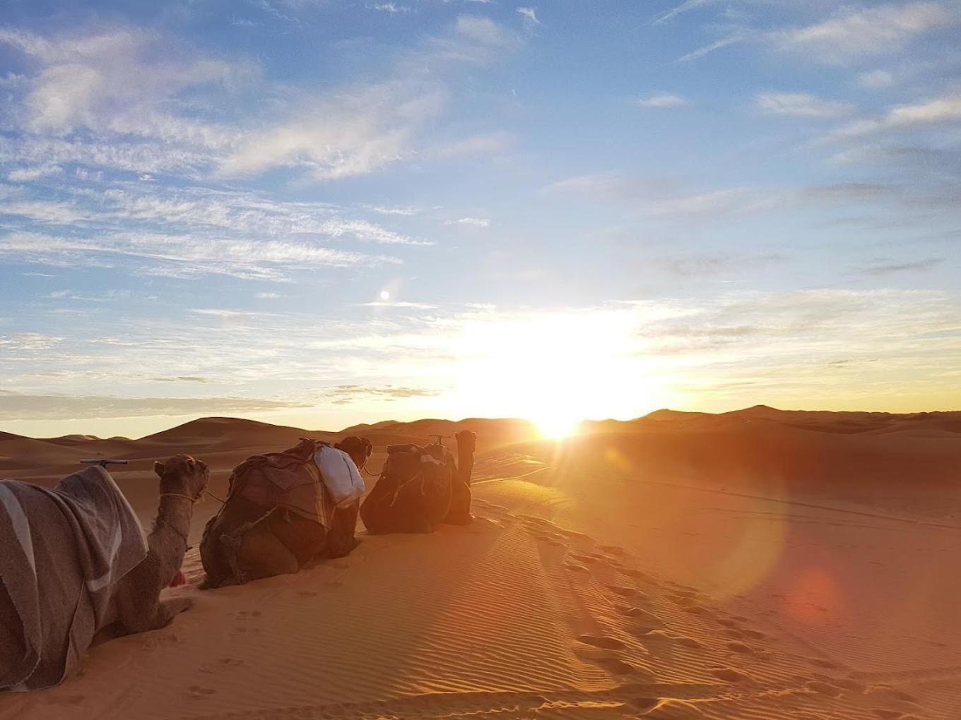 Les Roches Desert Camp Merzouga Exteriör bild